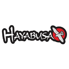 Hayabusa historie