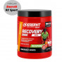 Další: Enervit Recovery drink R2 400 g 
