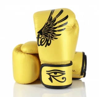 Boxerské rukavice Fairtex BGV1 - FALCON - limited edition