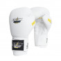 Další: StormCloud Rukavice boxerské Boxing Pro Bílé