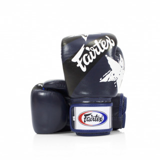 Fairtex Rukavice Boxerské BGV1-N Nation Modré