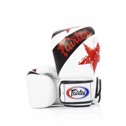 Fairtex Rukavice Boxerské BGV1-N Nation Bílé