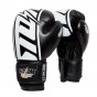 Další: StormCloud Rukavice boxerské Bolt 2.0 Černé/Bílé