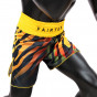 Další: Fairtex Šortky Boxerské BT2002 Tiger