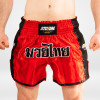 Předchozí: StormCloud Šortky Muay Thai College Červené