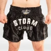 Předchozí: StormCloud Šortky Muay Thai Headline Černé