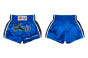 Předchozí: Fairtex Šortky Boxerské BS0645