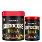 Předchozí: Allmax Aminocore Borůvka 315g