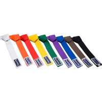 Pásek BLITZSPORT jednobarevný - 320 cm