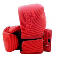Fairtex Boxerské rukavice BGV14R červené