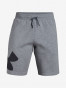 Další: Pánské šortky UNDER ARMOUR RIVAL FLEECE LOGO SWEATSHORT - šedé