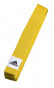 Předchozí: Pásek (judo, Karate) Adidas CLUB - žlutý