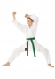 Další: Dětské kimono na karate Tokaido SHOSHIN 8 OZ - bílé