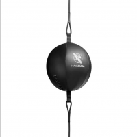 Hayabusa Punching ball Classic 12” Sphere Double End - černý