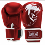 Předchozí: SUPER PRO Boxerské rukavice Talent - červeno/bílé