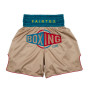Další: Boxerské šortky Fairtex BT2010 - Vintage