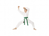 Kimono Karate TOKAIDO SHOSHIN 8 oz - bílé