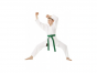 Další: Kimono Karate TOKAIDO SHOSHIN 8 oz - bílé