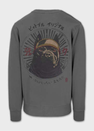 PitBull West Coast Pánská mikina MT FUJI crewneck - zeleno/šedá