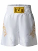 Další: Pánské Boxerské šortky BENLEE Rocky Marciano BONAVENTURE - bílo/zlaté