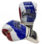 Předchozí: Top King Boxing Top King boxerské rukavice TKBGFV Thailand