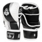 Další: MMA rukavice DBX BUSHIDO ARM-2011A