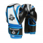 Další: Boxerské rukavice DBX BUSHIDO ARB407v1 6 oz.