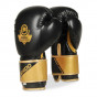 Další: Boxerské rukavice DBX BUSHIDO B-2v10