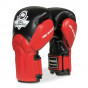 Další: Boxerské rukavice DBX BUSHIDO BB1
