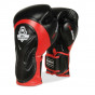 Předchozí: Boxerské rukavice DBX BUSHIDO BB4