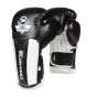 Další: Boxerské rukavice DBX BUSHIDO B-3W