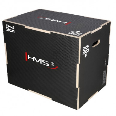 Plyo Box HMS DSC02