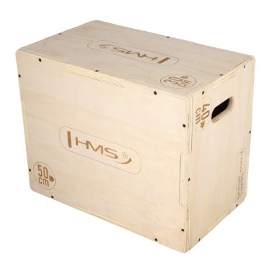 Plyo Box HMS DSC04