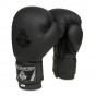 Další: Boxerské rukavice DBX BUSHIDO B-2v12