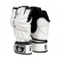 Předchozí: MMA rukavice DBX BUSHIDO E1v7