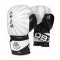 Další: Boxerské rukavice DBX BUSHIDO B-2v8