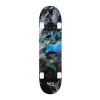 Předchozí: Skateboard NILS Extreme CR3108SA Forest