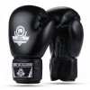Další: Boxerské rukavice DBX BUSHIDO ARB-Black