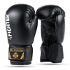 Předchozí: Juniorské boxerské rukavice DBX BUSHIDO ARB-407v5 6 oz.