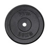 Předchozí: Černý litinový kotouč HMS 20 kg