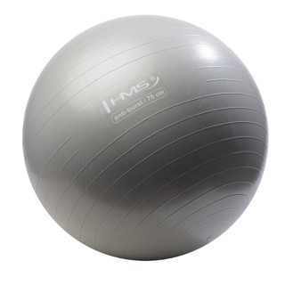 Gymnastický míč HMS YB02 75 cm šedo-stříbrný