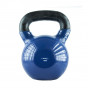 Předchozí: KN 16 KG KETTLEBELL POKRYTÝ VINYLEM HMS