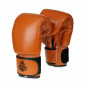 Předchozí: Boxerské rukavice DBX BUSHIDO DBD-B-1