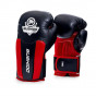 Předchozí: Boxerské rukavice DBX BUSHIDO DBD-B-3