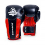 Další: Boxerské rukavice DBX BUSHIDO DBX PRO