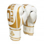 Další: Boxerské rukavice DBX BUSHIDO DBD-B-2 v1