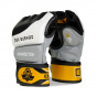 Další: MMA rukavice DBX BUSHIDO e1v2