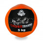 Předchozí: Wall ball DBX BUSHIDO 5 Kg