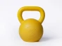 Předchozí: Ocelový barevný Kettlebell 16 kg