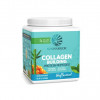 Předchozí: Collagen Builder 500g natural